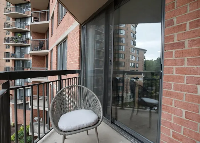 Modern & Charming Apt With Rooftop @Pentagon City